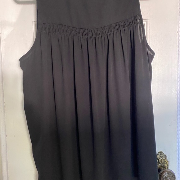 Pleione XL - Picture 4 of 4